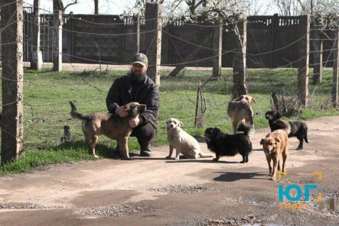Стаття На Одещині розпочали масштабну програму стерилізації безхатніх собак Ранкове місто. Одеса