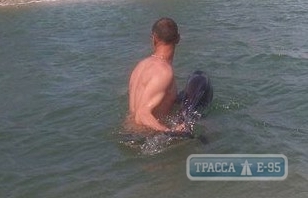 Стаття Дельфины облюбовали морские воды нацпарка «Тузловские лиманы» в Одесской области Ранкове місто. Одеса