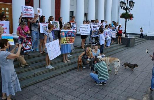 Стаття Зоозащитники опять провели митинг возле Одесской мэрии Утренний город. Одеса