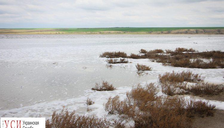 Стаття Куяльник больше не пересыхает: уровень воды достиг десятилетнего максимума Утренний город. Одеса