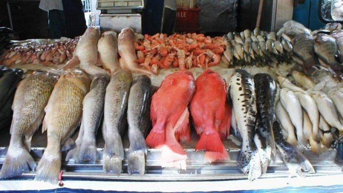 Стаття Рыба, мясо, «молочка»: в Одессе проверят точки продажи скоропортящихся продуктов Утренний город. Одеса