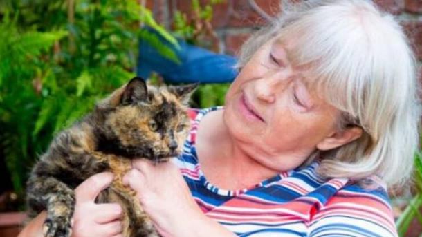 Стаття Кошка-долгожительница обхитрила смерть, пережив опасную операцию в 31 год Утренний город. Одеса