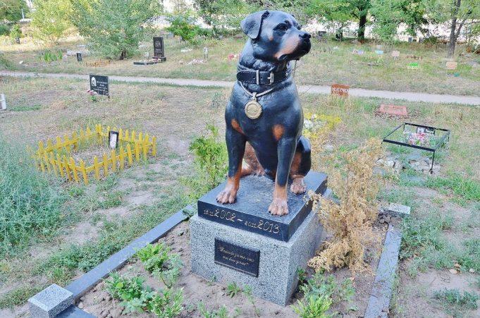 Стаття В Одессе хотят создать крематорий для животных Ранкове місто. Одеса