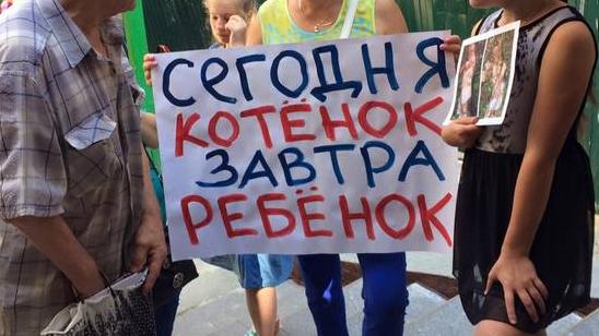 Стаття Жестокое убийство котят в Святошинском районе: киевляне начали протест Ранкове місто. Одеса