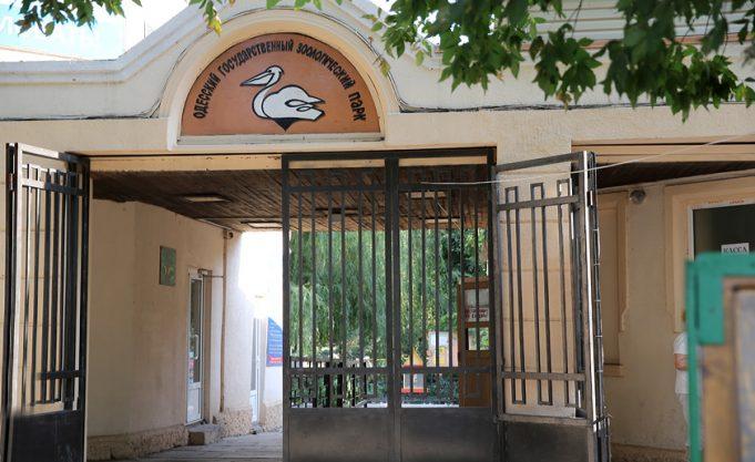 Стаття Горожан зовут на празднование дня рождения Одесского зоопарка Утренний город. Одеса