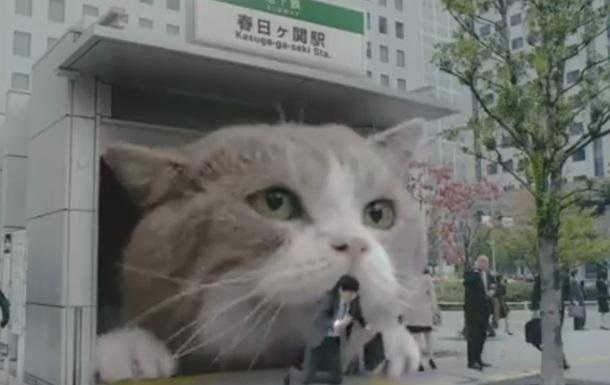 Стаття Фотографии бездомных котов Токио Ранкове місто. Одеса