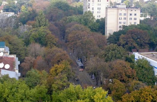 Статья Французский бульвар в Одессе озеленяют новыми деревьями Утренний город. Одесса
