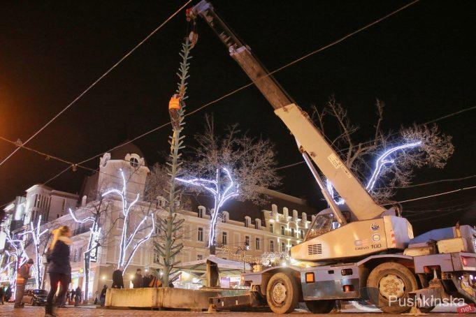 Статья На Дерибасовской устанавливают елку, состоящую из 400 живых деревьев Утренний город. Одесса