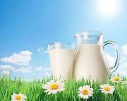 Стаття А вы знали, что мы пьём наше любимое молоко вот уже 10 000 лет? Ранкове місто. Одеса