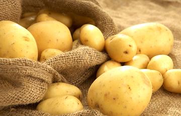 Стаття Беларусь оказалась крупнейшим покупателем картофеля в Украине Ранкове місто. Одеса