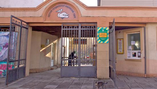 Стаття В Одесском зоопарке поселилась гиена Ранкове місто. Одеса