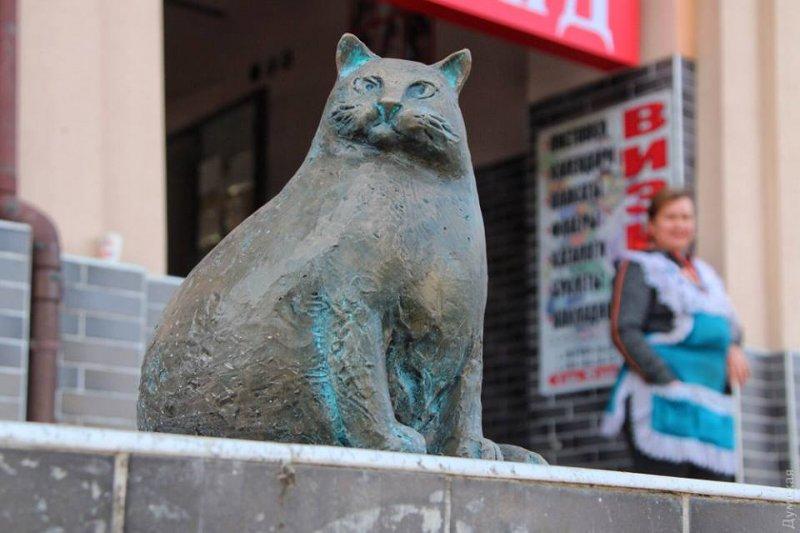 Стаття На Новом рынке у мясного корпуса увековечили 18-килограммовую кошку Ранкове місто. Одеса