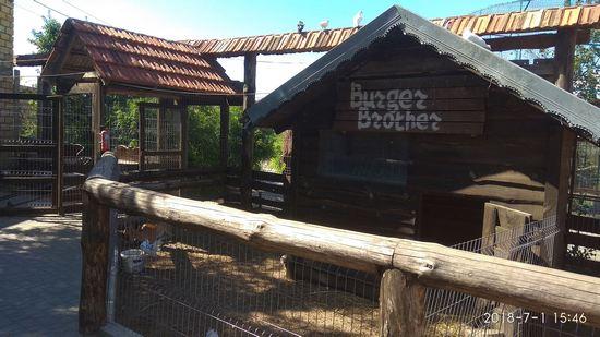Стаття Под Одессой есть зоопарк, где животных можно потрогать, а потом съесть (ФОТО) Ранкове місто. Одеса