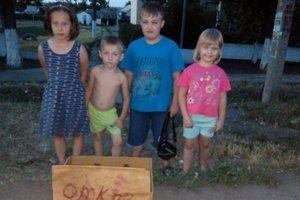 Стаття В Запорожской области дети «открыли бизнес» ради бездомных котов Ранкове місто. Одеса