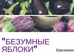 Стаття Овощ, занимающий в нашей пищевой цепочке особенное место Ранкове місто. Одеса