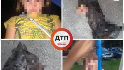 Стаття 6-летняя девочка убивает котят и вынимает из них внутренности Ранкове місто. Одеса