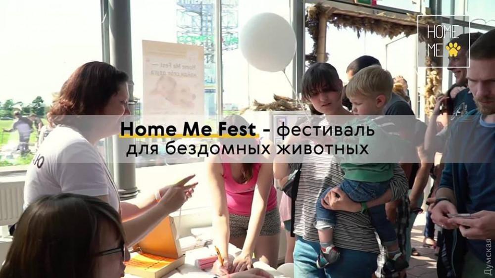 Стаття Home Me Fest: в Одессе состоится фестиваль бездомных животных Ранкове місто. Одеса