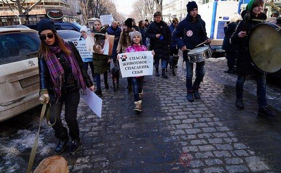 Стаття В субботу зоозащитники пройдутся по центральным улицам Одессы Ранкове місто. Одеса