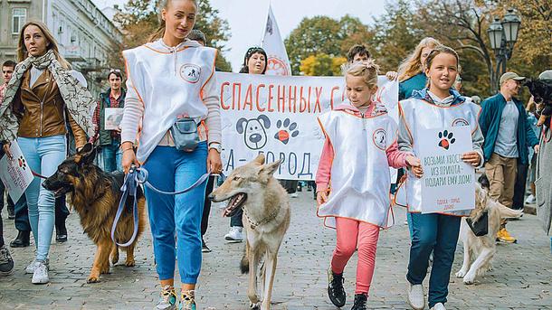 Стаття День защиты животных: в Одессе устроили Марш спасенных собак и защищают рыб, переживших динозавров Ранкове місто. Одеса