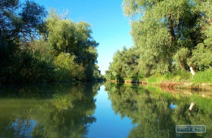 Стаття Европейская программа выделила крупный грант на восстановление природы в дельте Дуная на Одесщине Ранкове місто. Одеса