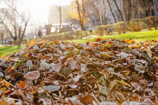 Стаття За сжигание осенних листьев одесситов начнут штрафовать Ранкове місто. Одеса