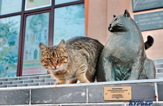 Стаття Самая большая кошка Одессы обзавелась другом (ФОТО) Ранкове місто. Одеса