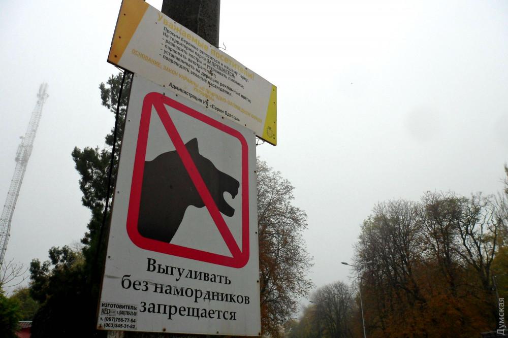 Стаття В Одессе владельцы собак массово нарушают правила выгула животных, а на замечания — хамят Ранкове місто. Одеса