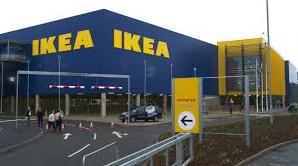 Стаття В магазинах IKEA разрешили «зимовать» бездомным собакам, - ФОТО Ранкове місто. Одеса