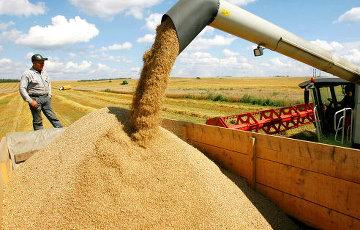 Стаття Украина вошла в пятерку крупнейших экспортеров агропродукции в ЕС Ранкове місто. Одеса