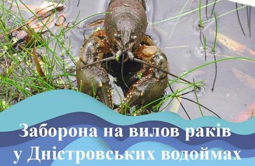 Стаття С понедельника раков в Одесской области ловить запрещено Ранкове місто. Одеса