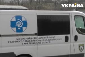 Стаття В Украине заработала «скорая» для служебных собак Ранкове місто. Одеса