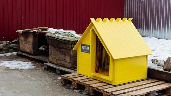 Стаття В столице появятся домики для бездомных котов Ранкове місто. Одеса