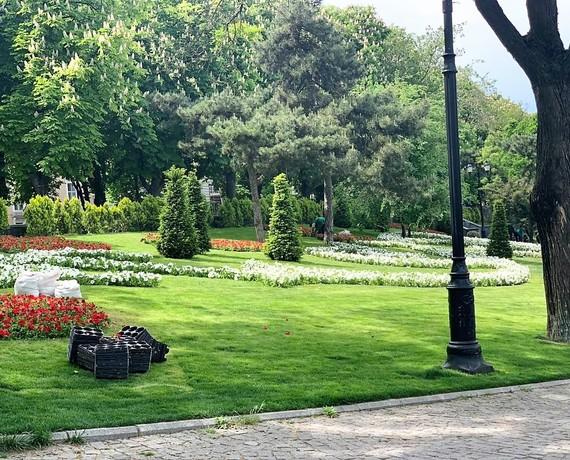 Стаття Цветочные композиции украсили склоны Стамбульского парка в Одессе Ранкове місто. Одеса