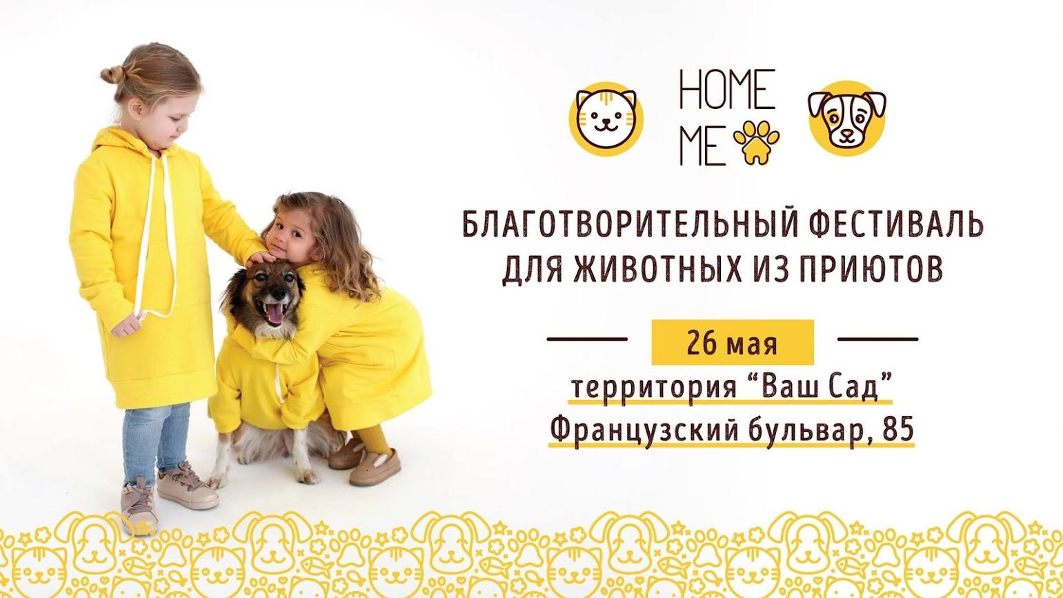 Стаття «Home Me #3»: одесситам бесплатно раздадут бездомных кошек и собак Ранкове місто. Одеса