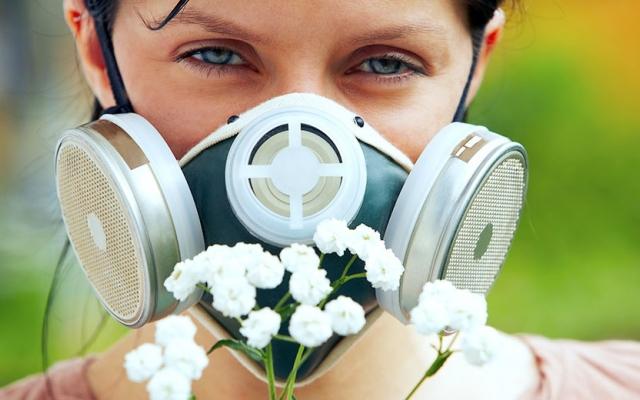 Стаття В Одессе продолжают бороться с растительными аллергенами Ранкове місто. Одеса