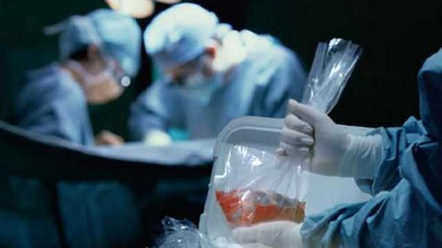 Стаття Программа трансплантации заработает до конца текущего года и постепенно заменит лечение за рубежом Ранкове місто. Одеса