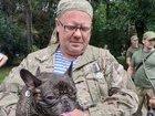 Стаття Во Львове наградили собак, служивших вместе с хозяевами в зоне боевых действий на Донбассе. ФОТО Ранкове місто. Одеса