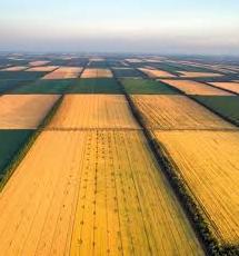 Стаття В Україні запрацював сайт про земельну реформу з усіма відповідями Ранкове місто. Одеса