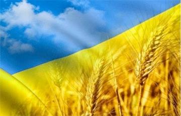 Стаття Украина обновила рекорд по урожаю зерновых Ранкове місто. Одеса