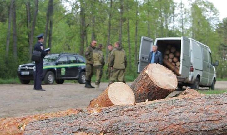 Стаття На Донеччині ветерани АТО почали боротьбу з «чорними лісорубами» Ранкове місто. Одеса