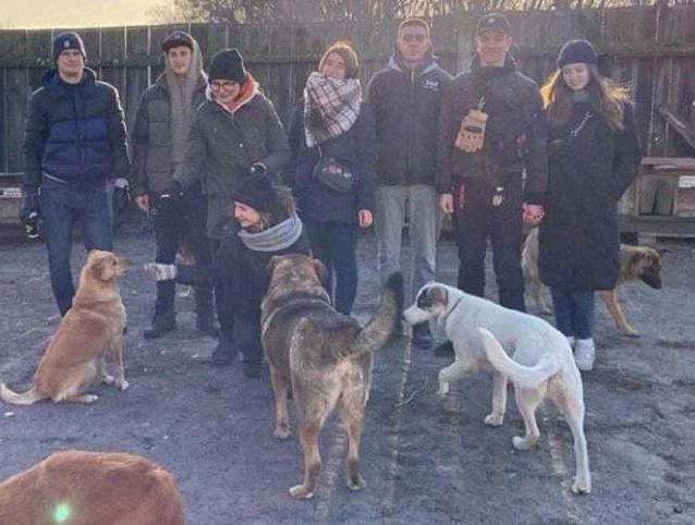 Стаття На Київщині активісти завітали до притулку для тварин Ранкове місто. Одеса