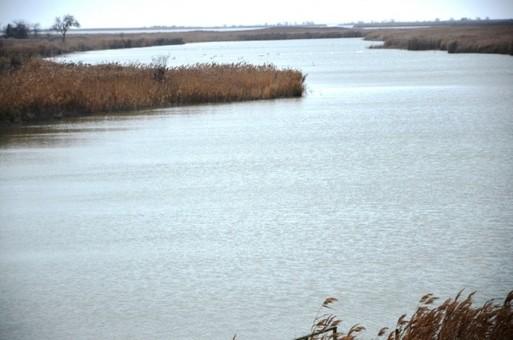 Стаття В Одесской области обсуждали возрождение умирающего озера Сасы Ранкове місто. Одеса