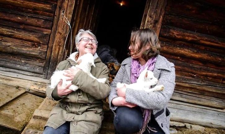 Стаття Переселенка з Донбасу заснувала козячу ферму в Карпатах Ранкове місто. Одеса