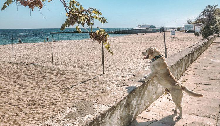 Стаття Суд запретил уменьшать протяженность пляжа в Одессе Ранкове місто. Одеса