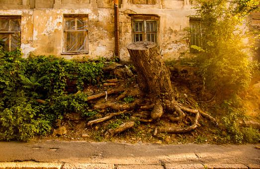 Стаття Ломаный переулок в Одессе: дома на скалах почти в самом центре города (ФОТО) Ранкове місто. Одеса