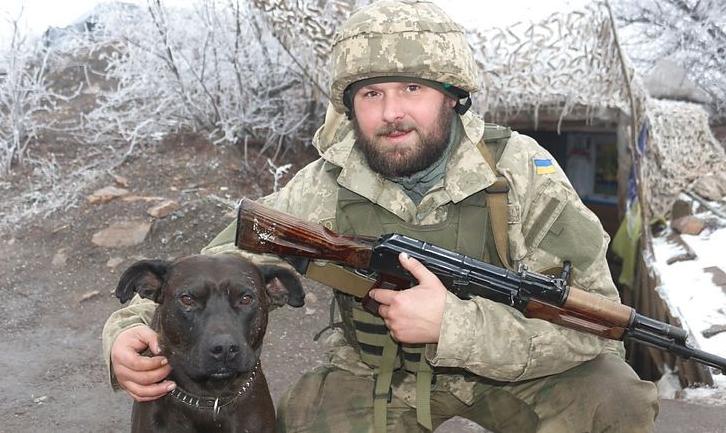 Стаття Військова лікарка 5 годин оперувала пораненого на передовій фронтового собаку Ранкове місто. Одеса