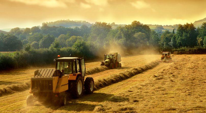 Стаття Євросоюз виділить €26 млн для українських фермерів Ранкове місто. Одеса