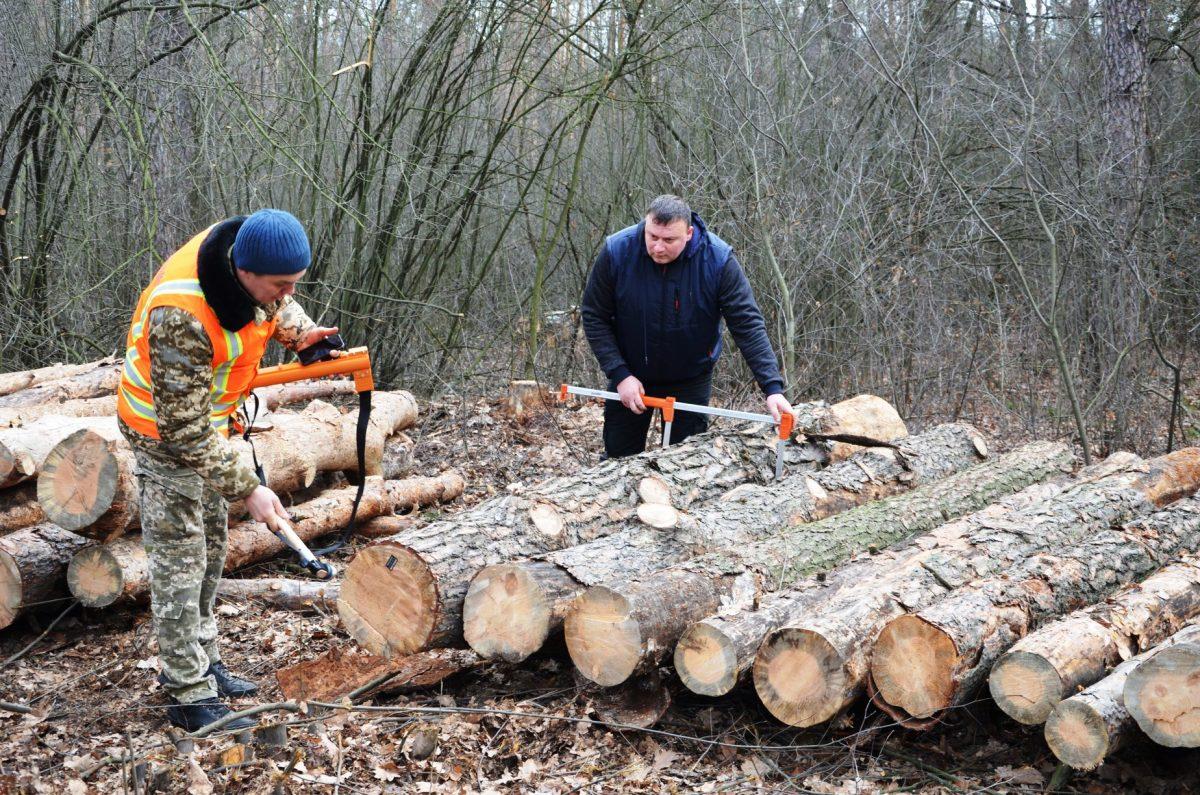 Стаття Київськи лісники отримали дієвий механізмом у боротьбі з нелегальною вирубкою дерев Ранкове місто. Одеса