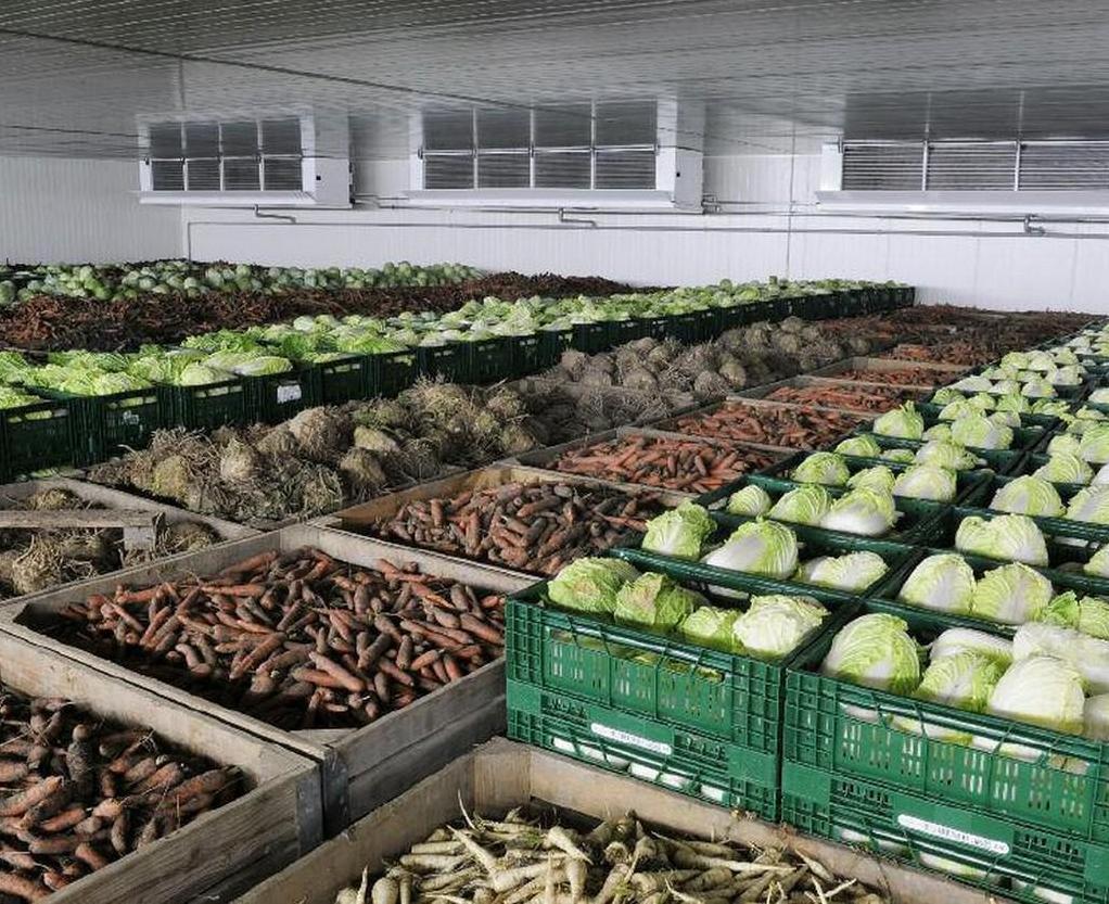 Стаття В Україні будують потужне сховище для овочів із цехом з виробництва соку Ранкове місто. Одеса