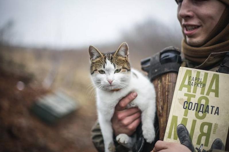 Стаття На День кота військові показали фото пухнастих побратимів Ранкове місто. Одеса